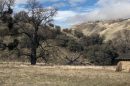 Grapevine Canyon