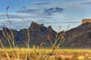 Kofa National Wildlife Refuge