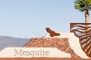 Mesquite