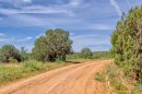 Prescott National Forest